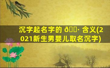 沉字起名字的 🌷 含义(2021新生男婴儿取名沉字)